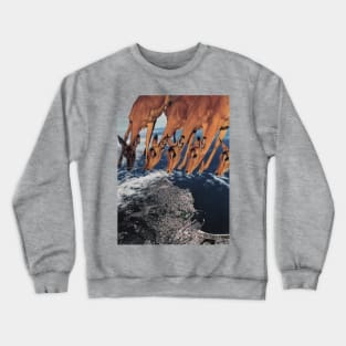 Impala Crewneck Sweatshirt